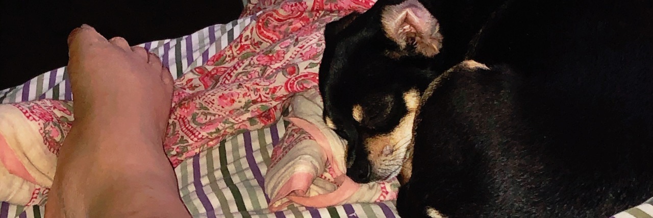 My Morning Routine With a Spinal Cord Injury Priya's foot in bed, with her chihuahua sleeping beside her.