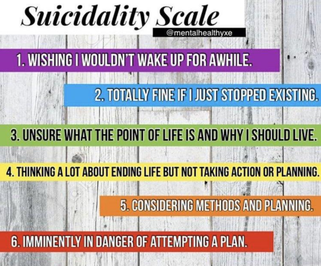Suicidal Thoughts scale, which reads: 1. Wishing I wouldn't wake up for a while. 2. Totally fine if I just stopped existing. 3. Unsure what the point of life is and why I should live. 4. Thinking a lot about ending my life but not taking action or planning. 5. Considering methods and planning. 6. Imminently in danger of attempting a plan.