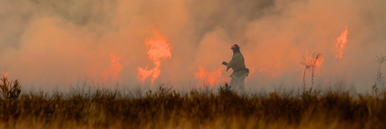 What the West Coast Wildfires Teach Me About Anxiety Firefighter fighting a brush fire