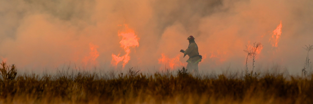 Firefighter fighting a brush fire
