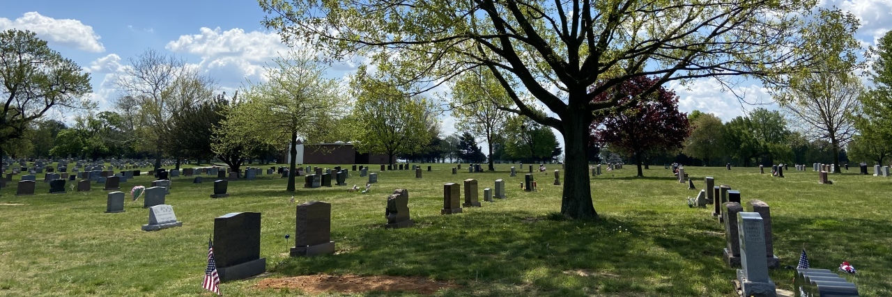 Mourning My Mother's Alzheimer's Death During the COVID-19 Pandemic Cemetery with a tree.