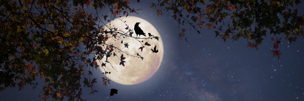 Disability Is Not a Costume Full moon behind autumn trees.