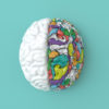 3D brain rendering on a teal background. One half of the brain is plain white, the other half is covered in colorful shapes