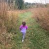 Hazel running in a field.