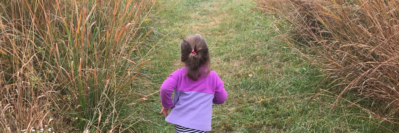 Hazel running in a field.