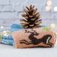 Christmas socks, pine cone against white brick wall.