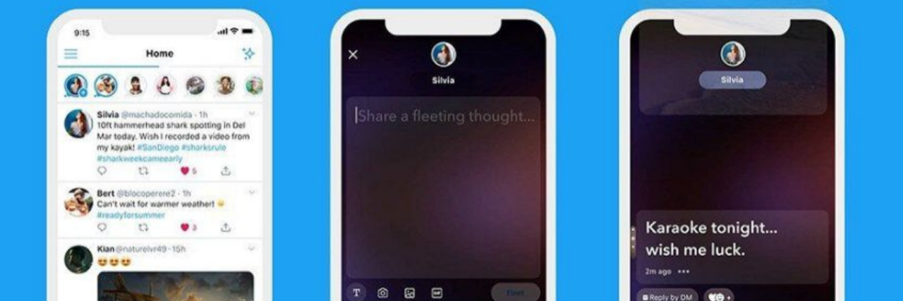 Twitter's New 'Fleets' Feature Accessible to Screen Readers An example of what posting a fleet could look like