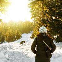 photo of woman walking through snowy woods in golden light