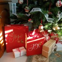 Presents under Christmas tree.
