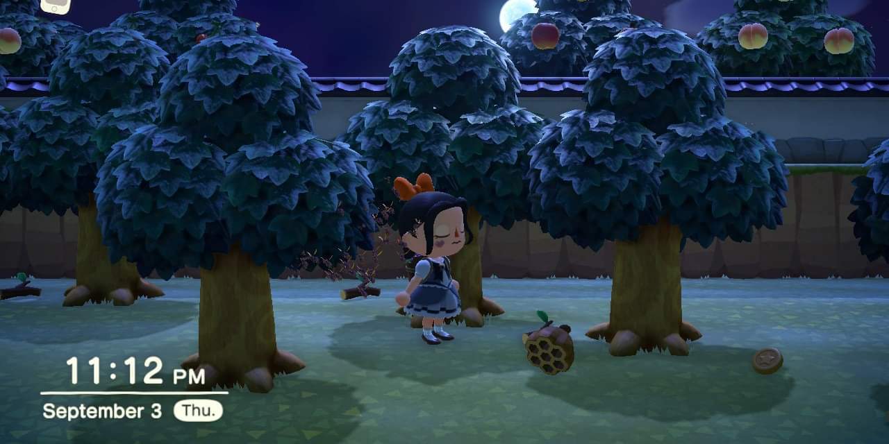 My Trauma Hijacked Brain In Animal Crossing Imagery