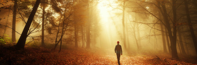 Man walking in golden rays of light in an autumn forest