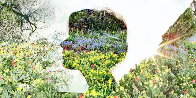 What I Gained and Lost From Electroconvulsive Therapy