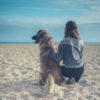 Young woman sitting on beach with big dog.