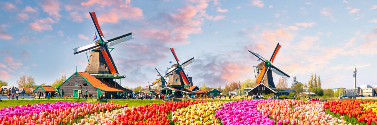 The 'Holland Moments' of Parenting a Child With a Rare Condition Traditional Dutch windmills and tulips.