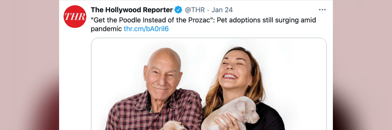 'The Hollywood Reporter' Called Out for 'Puppies Instead of Prozac' A tweet from the Hollywood Reporter showing two people holding puppies and laughing. It reads: "Get the Poodle Instead of the Prozac": Pet adoptions still surging amid pandemic