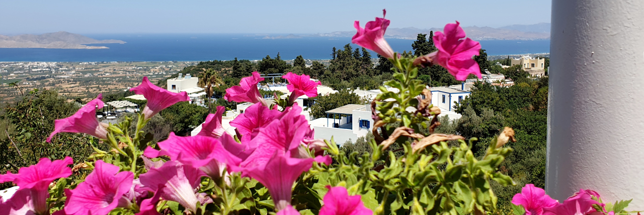 a view of a Greek Island with flowers