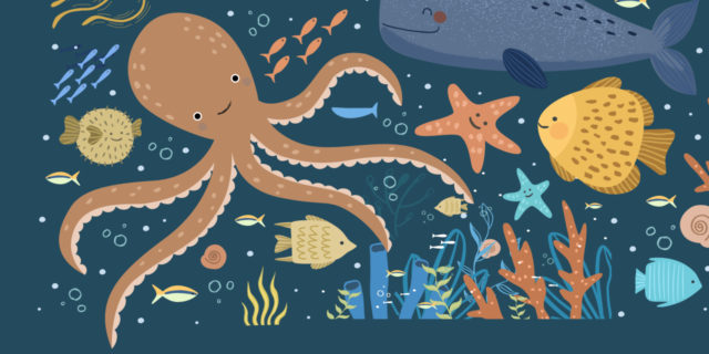 Drawing of octopus and sea life.