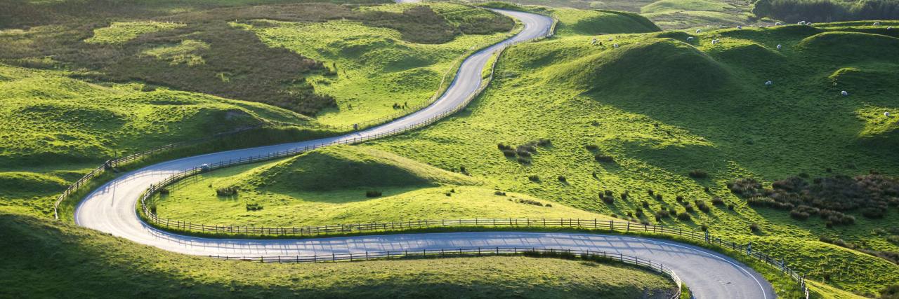 Please Understand the Unpredictability of My Chronic Illnesses Winding road through a green grassland.