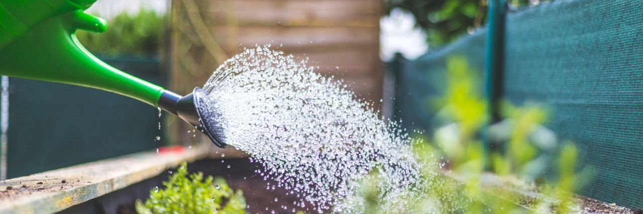 7 Tips for Gardening With Fibromyalgia Watering vegetables and herbs in raised bed.