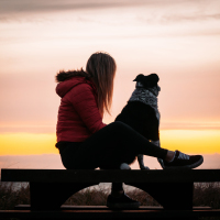A women and her dog watch the sunset.