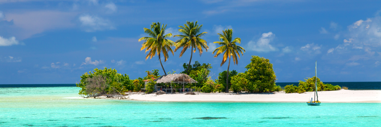 How 'Survivor' Mirrors My Experience Living With Cerebral Palsy Small tropical island.