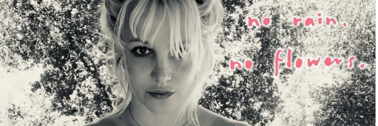 What We Can Learn From Britney Spears Finally Speaking Up in Court Britney Spears on Instagram with a monotone filter with the words "No rain no flowers"