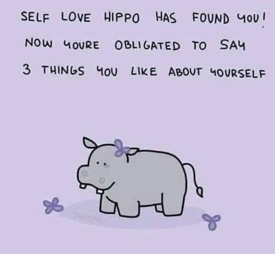 cartoon drawing of a gray hippo on a purple background with the caption "self love hippo found you! Now you're obligated to say 3 things you like about yourself"