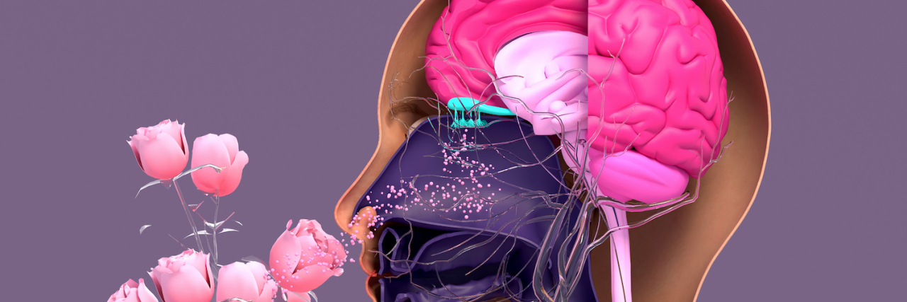 How My Strong Sense of Smell Is a Superpower and a Curse Image of components of the olfactory system.