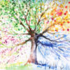 Hand painted illustration of tree with four seasons.