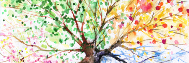 Hand painted illustration of tree with four seasons.