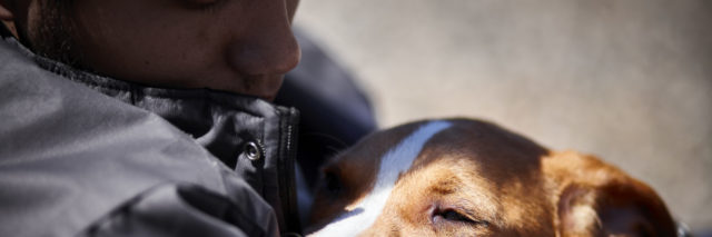 man holding sleepy puppy dog closeup selective focus daylight