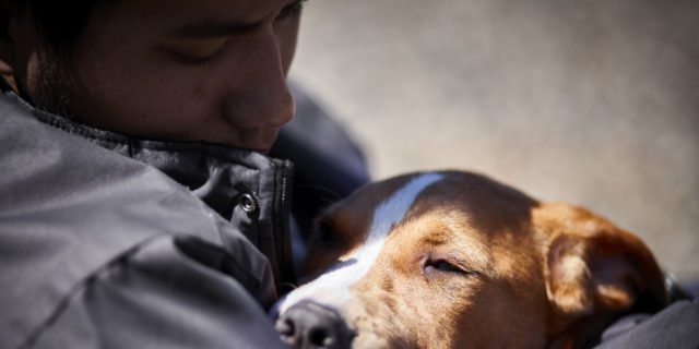 man holding sleepy puppy dog closeup selective focus daylight