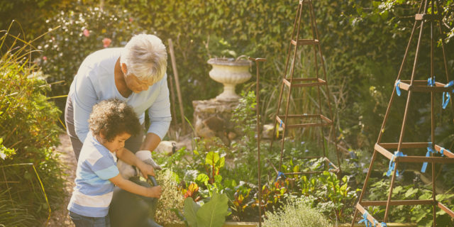 Grandmother and child gardening outdoors.