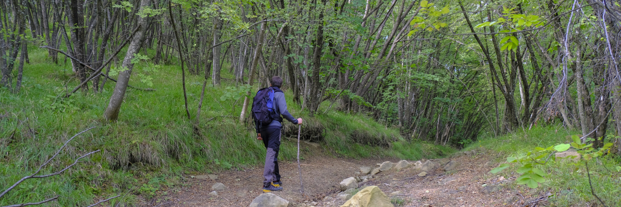 Facing My Future With Hope in Life With Rheumatoid Arthritis Man with cane walking on a trail.
