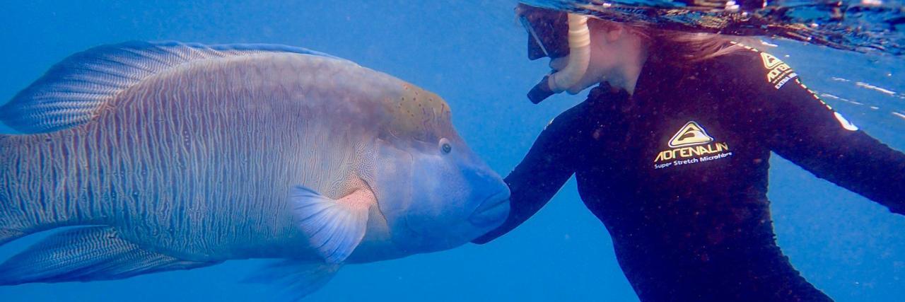 Finding a New Career After a Fibromyalgia Diagnosis Wally & Jess in the Great Barrier Reef.