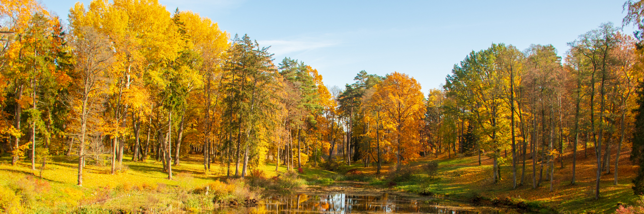To the Doctor Who Taught Me How to Live With Chronic Pain Wonderful autumn landscape with river.