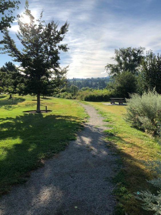 An inviting paved path surrounded by grass and trees