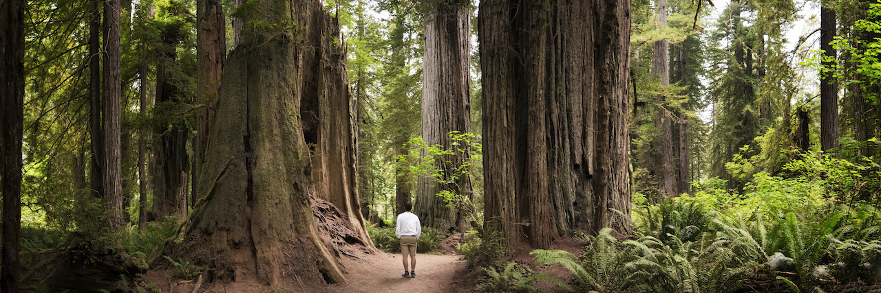 Worrying About the Future When You Have Parkinson's Man walking on path surrounded by large redwood trees