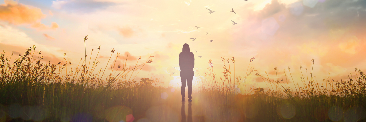 So You Survived, Now What? a silhouette of a woman standing near a meadow