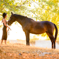 Woman stands with a horse in the forest at sunset.