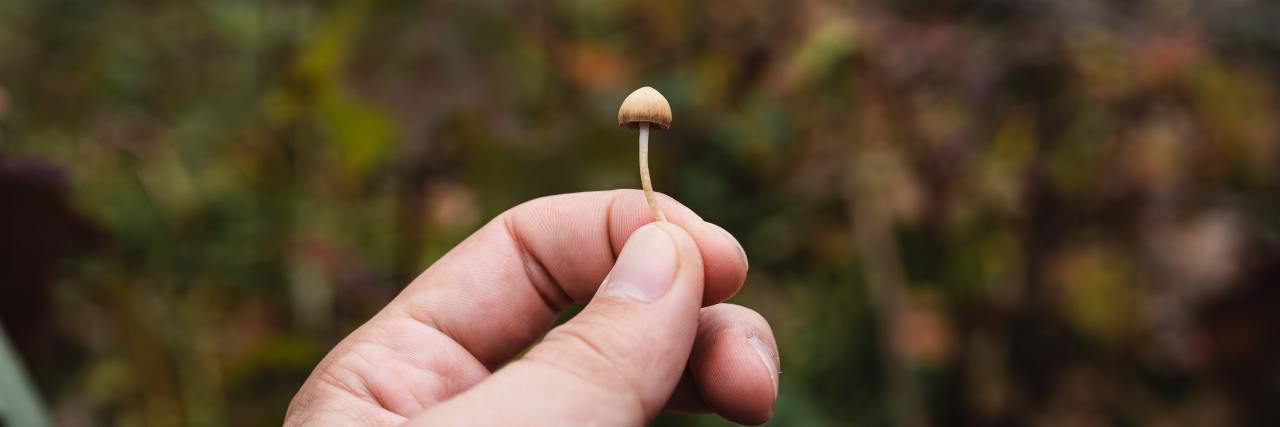 My Experience on a Psilocybin Trial for Treatment-Resistant Depression close up photo of a person's hand holding a tiny light brown mushroom