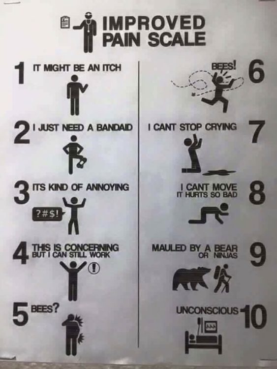 improved Pain Scale meme