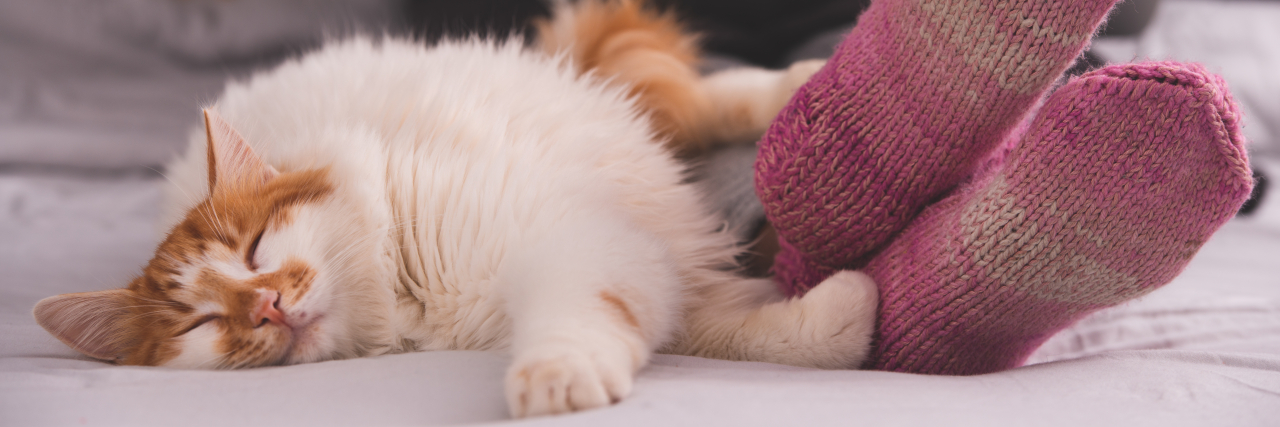 Shouts Out to the Bed: The New Home Office