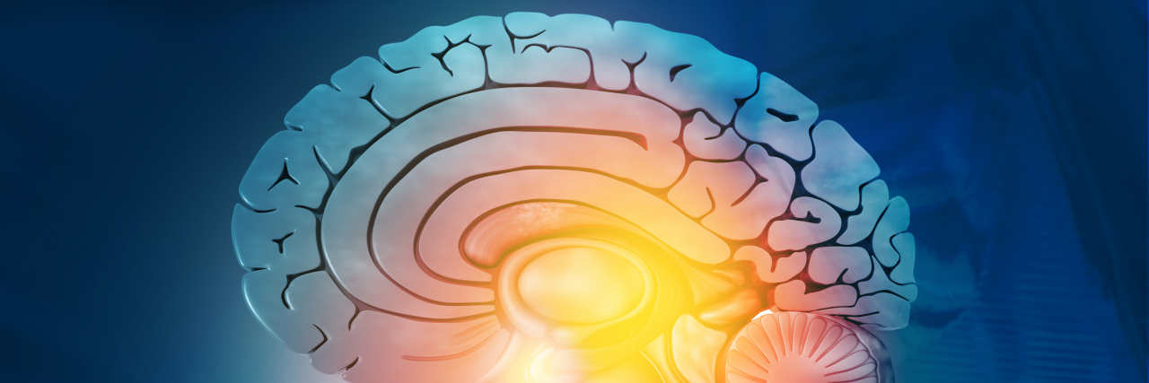 Corpus Callosum Disorders: What the Hole in My Head Taught Me Cross section of human brain on medical background.
