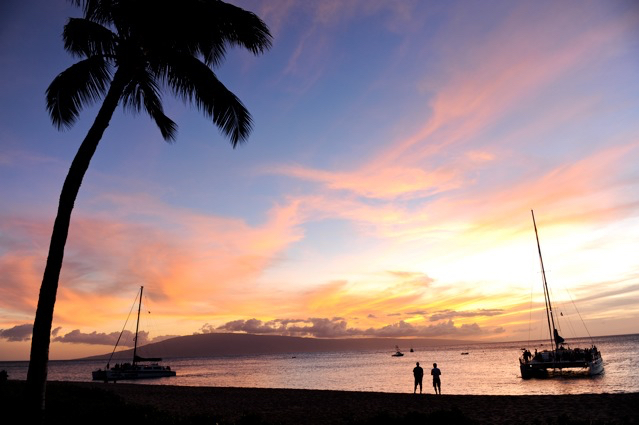 Two men enjoy a sensational sunset. The sky is full of cotton candy colors. Blues and oranges. A sole palm tree is backlit 