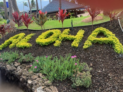 the word "aloha" is spelled out in plants against a beach. It's bright and sunny, with greenery all around.