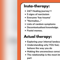 Graphic explaining the differences between insta-therapy and actual therapy