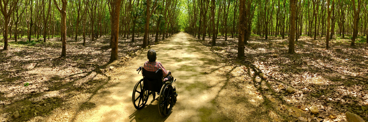 When Caregivers Comment on My Weight as Someone With Cerebral Palsy Woman in wheelchair on forest trail.