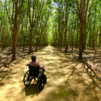 Woman in wheelchair on forest trail.