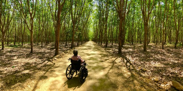 Woman in wheelchair on forest trail.